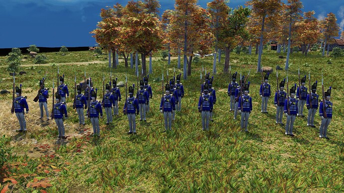 AoE III DE United States Guard Regular during the day