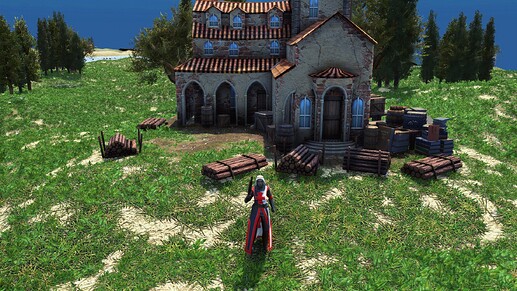 AoE III DE Knightess Templar during the day