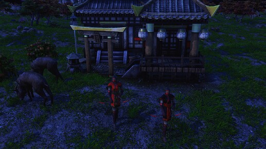 AoE III DE Kunoichi during the night