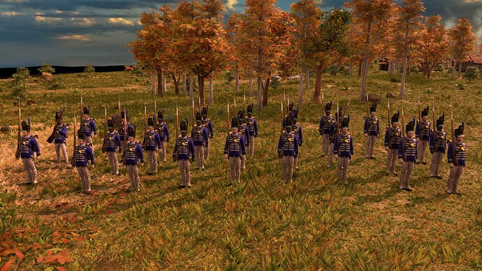 AoE III DE United States Guard Regular at sunrise