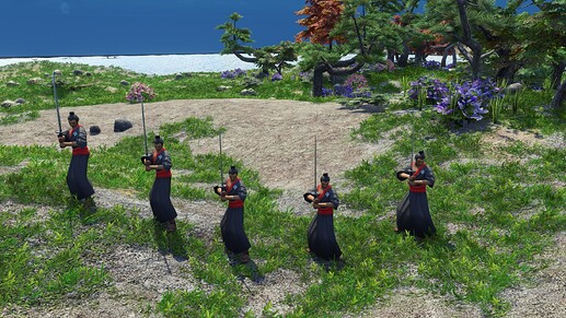 AoE III DE Wokou Ronin during the day