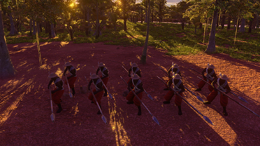 AoE III DE Picket at sunset