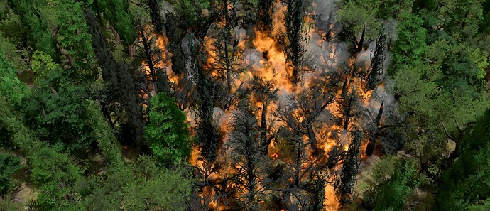 AoMR Forest Fire