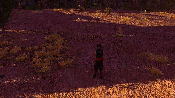 AoE III DE Ottoman Muhbir at sunset