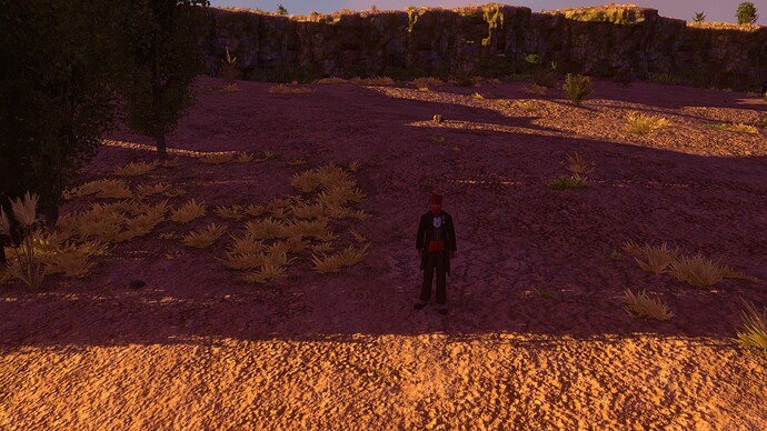 AoE III DE Ottoman Intelligence Agent at sunset