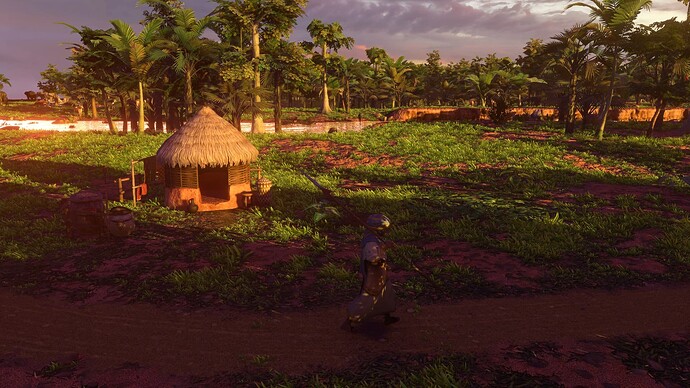 AoE III DE Trader at sunset