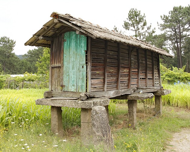 HĂłrreo