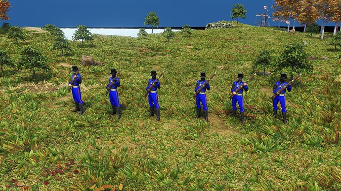 AoE III DE United States Marines during the day