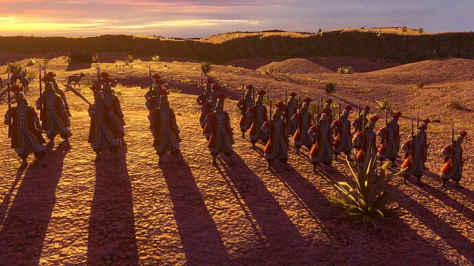 AoE III DE Ottoman Guard Janissary at sunset