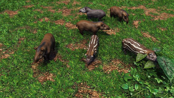 AoE III DE Tapir during the day