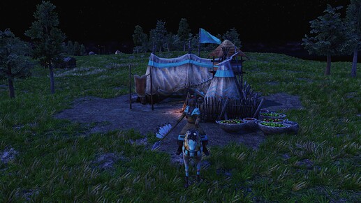 AoE III DE Wise Woman during the night