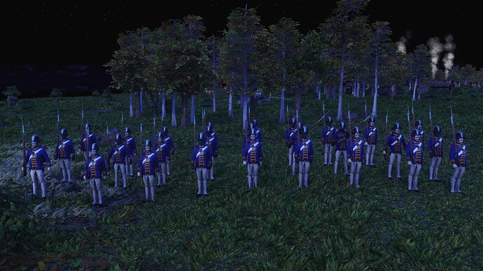 AoE III DE United States Veteran Regular during the night
