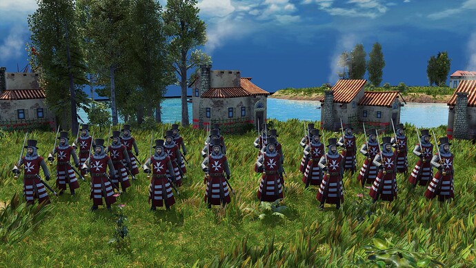 AoE III DE Maltese Veteran Dignitaries Hospitaller during the day