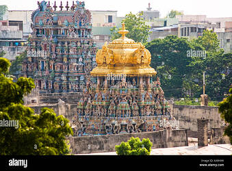 golden-tower-of-meenakshi-temple-madurai-tamil-nadu-india-AXM4XK