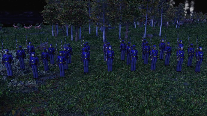 AoE III DE United States Imperial Regular during the night