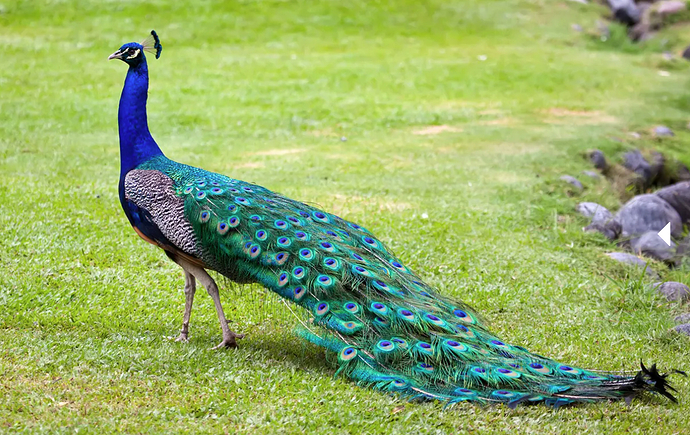 Screenshot 2025-12-02 162201