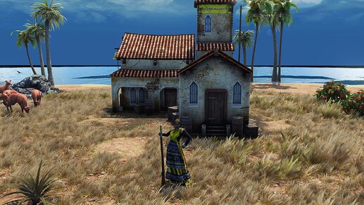 AoE III DE Heroic Villager during the day