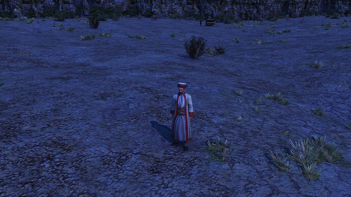 AoE III DE Ottoman Imam during the night