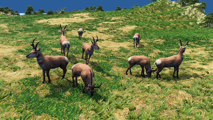 AoE III DE Pronghorn during the day