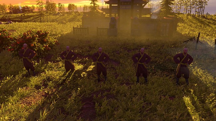 AoE III DE Chinese Disciple at sunset
