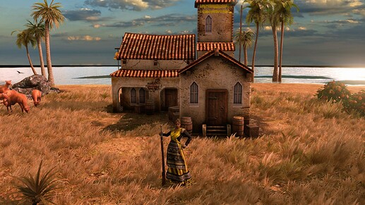 AoE III DE Heroic Villager at sunrise