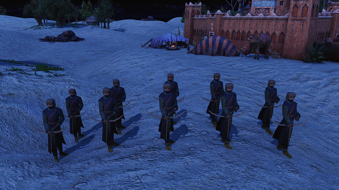 AoE III DE Berber Archer at during the night