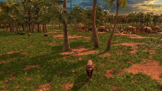 AoE III DE Tupi Buttercup the pet Cougar at sunrise