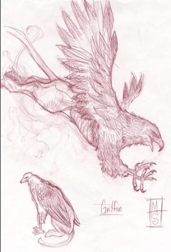 aom_concept_griffon