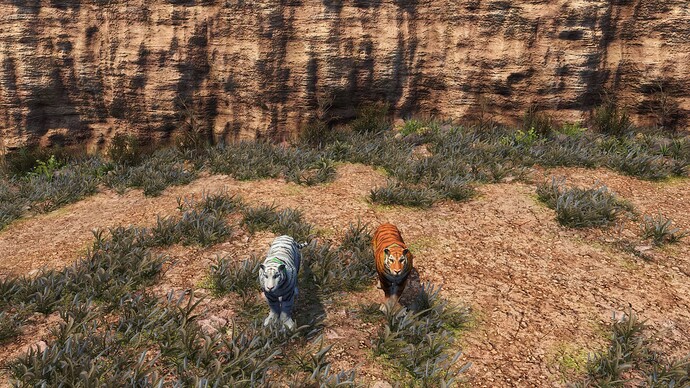 AoE III DE Indians Wagner the pet White Tiger and Axehilt the tame Tiger during the day