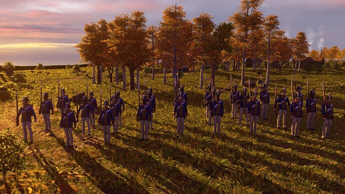 AoE III DE United States Veteran Regular at sunset