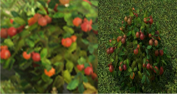 berrybushes confirmed