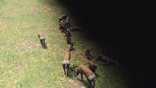 Captura de pantalla (653)