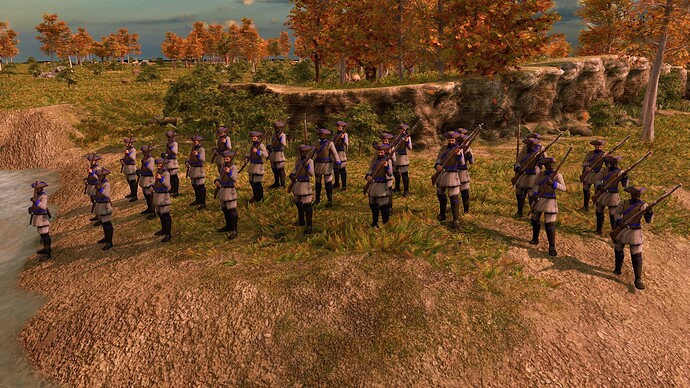 AoE III DE United States Veteran State Militia at sunrise