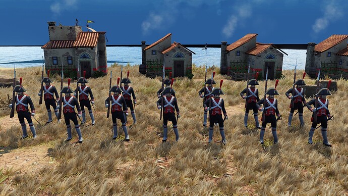 AoE III DE Spanish Walloon Guard during the day