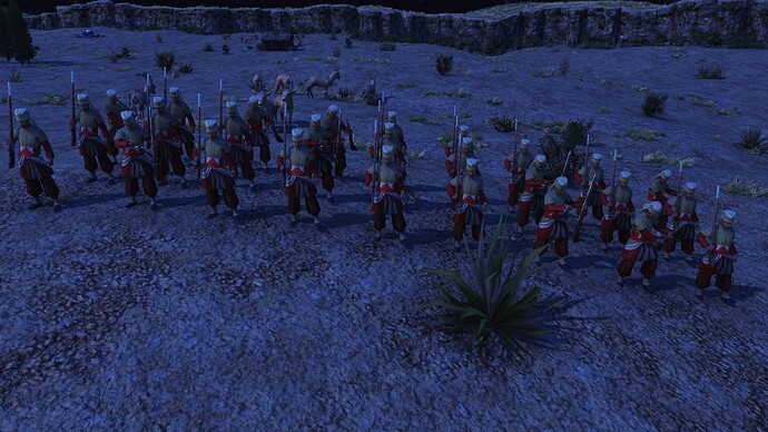 AoE III DE Ottoman Janissary during the night