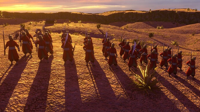 AoE III DE Ottoman Veteran Janissary at sunset