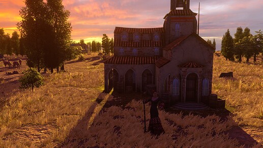 AoE III DE Flamenco Dancer at sunset