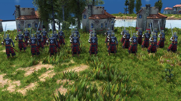 AoE III DE Maltese Guard Teutonic Knight Hospitaller during the day