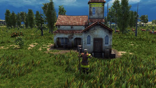 AoE III DE Şahin during the day