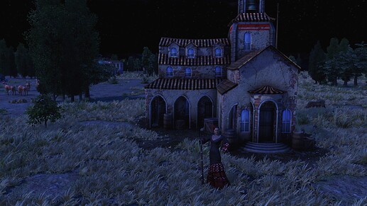 AoE III DE Flamenco Dancer during the night