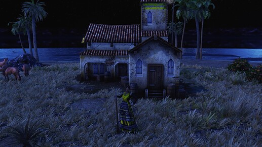 AoE III DE Heroic Villager during the night