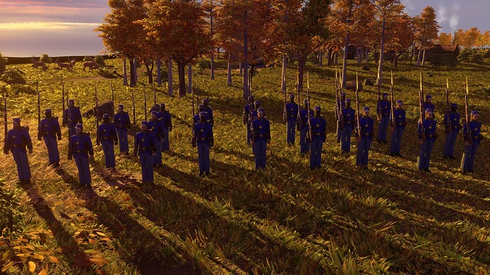 AoE III DE United States Imperial Regular at sunset