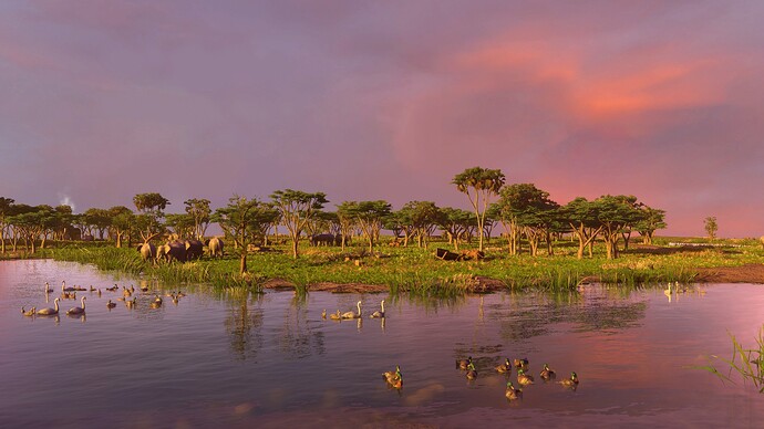 AoE III DE Sunset at the Watering Hole