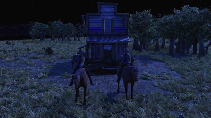 AoE III DE United States Cowboy during the night