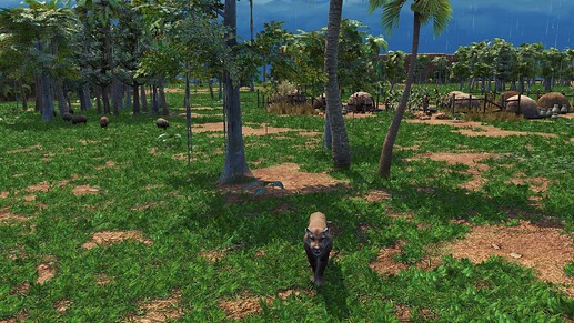 AoE III DE Tupi Buttercup the pet Cougar during the day