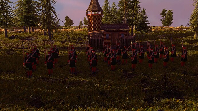 AoE III DE Russian Rekrut at sunset