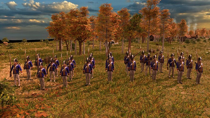 AoE III DE United States Veteran Regular at sunrise