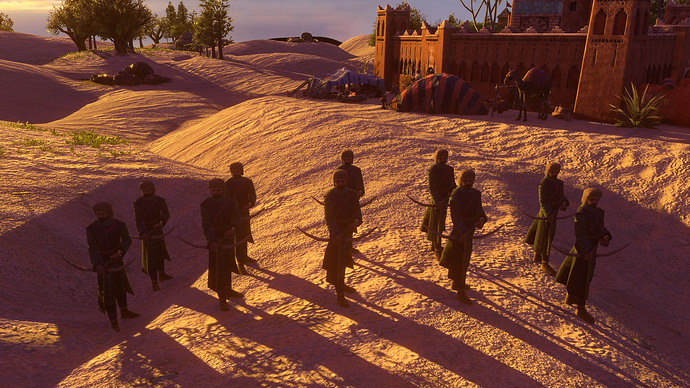 AoE III DE Berber Archer at sunset