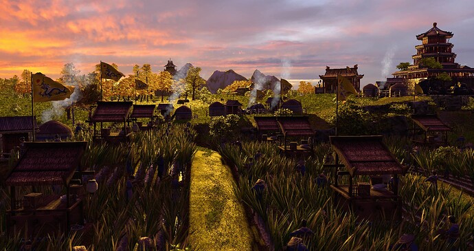 rice patties in the evening