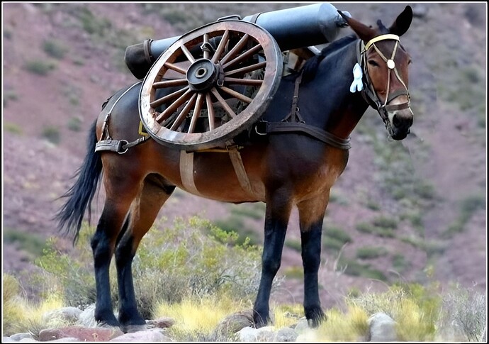 Mule Artillery